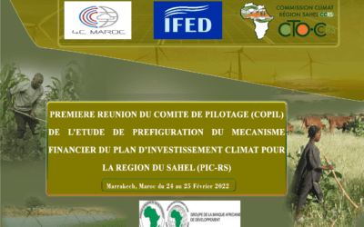 Première réunion du Comité de Pilotage (COPIL) de l’étude de préfiguration du mécanisme financier du Plan d’Investissement Climat pour la Région du Sahel (PIC-RS).