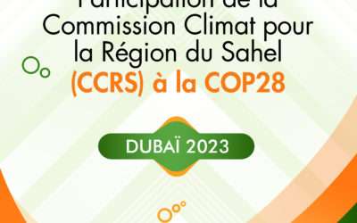 PARTICIPATION DE LA COMMISSION CLIMAT POUR LA RÉGION DU SAHEL (CCRS) A LA CONFÉRENCE DE DUBAI SUR LES CHANGEMENT CLIMATIQUES COP-28