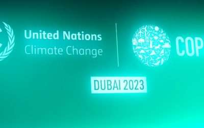 COP 28 : Adoption du « Fonds pertes et dommages » la CCRS se réjouit