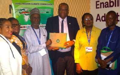COP 28: Rencontre bilatérale du Secrétaire Exécutif de la CCRS avec le ministre fédéral de l’environnement du Nigeria