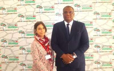 Le Secrétaire Exécutif de la CCRS reçoit la Directrice Pays de Save The Children Niger