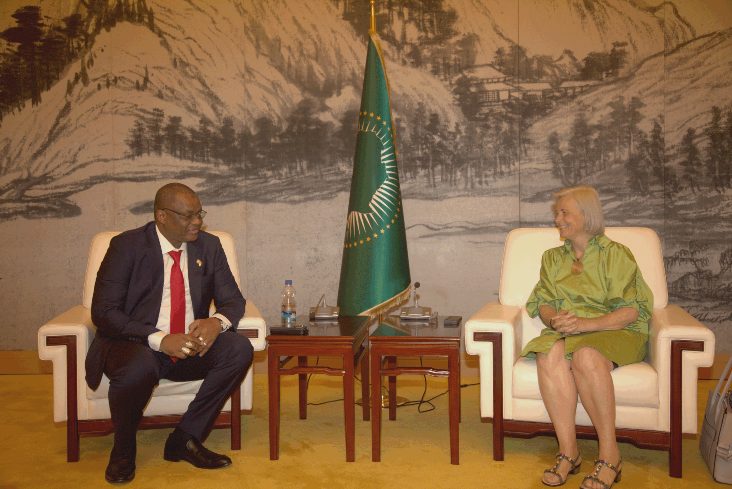 Plusieurs rencontres bilatérales du Secrétaire Exécutif de la CCRS en marge de la réunion de l’Initiative de la Grande Muraille Verte